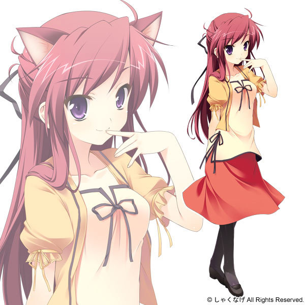 Akira Shimazu