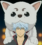 Rei Avatar