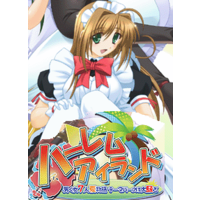 Harem ★ Island ~Otoko Onna 7nin Natsu Monogatari Theme Park wa Oosawagi~