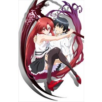Dakara Boku wa, H ga Dekinai