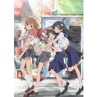 A Certain Scientific Railgun