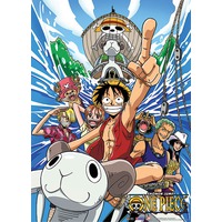 one piece character