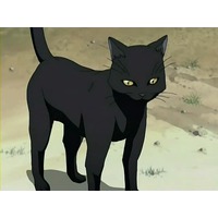 Bleach Yoruichi Cat