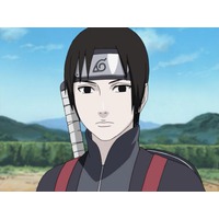 Sai